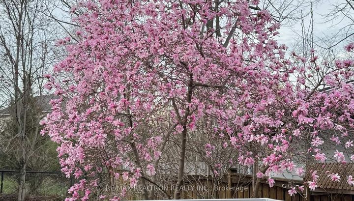 Photo 35 at 86 Eagle Peak Drive, Westbrook, Richmond Hill