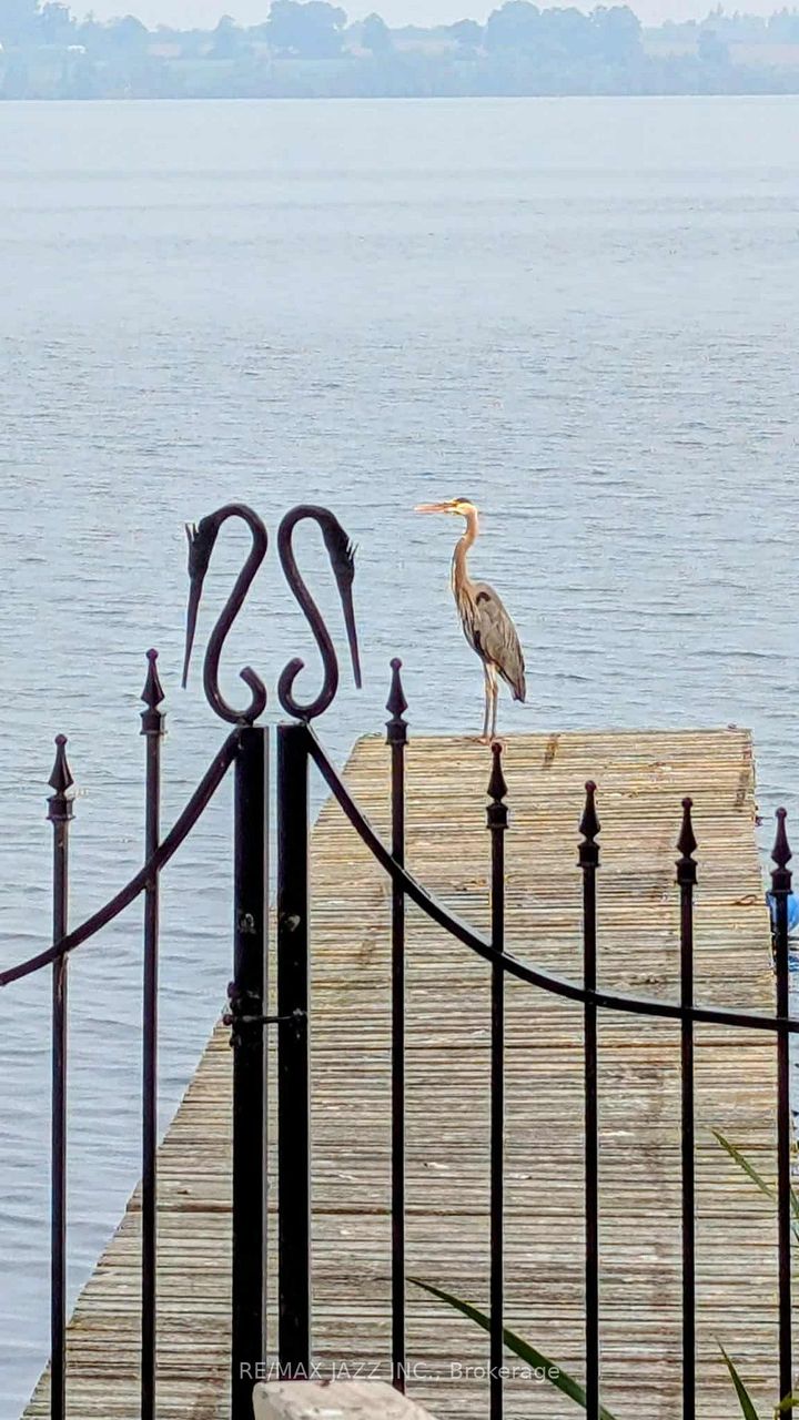 Photo 37 at 122 Morris Lane, Rural Scugog, Scugog