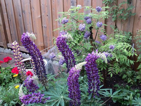 Photo 34 at 136 Cranbrooke Avenue, Lawrence Park North, Toronto