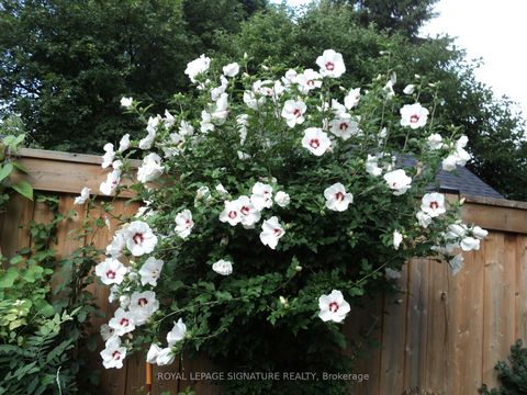 Photo 36 at 136 Cranbrooke Avenue, Lawrence Park North, Toronto