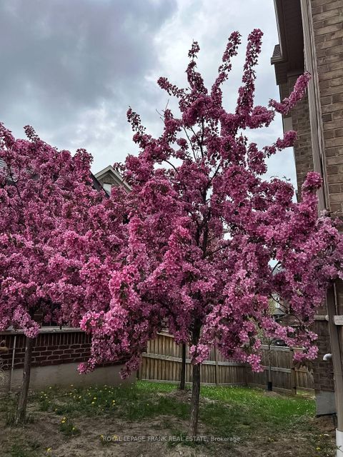 Photo 43 at 6 Aldridge Lane, Newcastle, Clarington