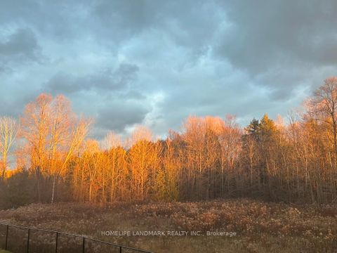 Photo 19 at 59 Big Canoe Drive, Sutton & Jackson's Point, Georgina