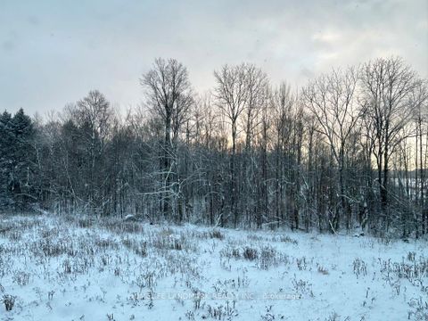 Photo 20 at 59 Big Canoe Drive, Sutton & Jackson's Point, Georgina