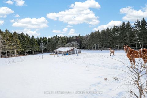 Photo 32 at 2553 County Road 42, Rural Clearview, Clearview