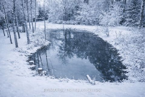 Photo 40 at 7881 Poplar Side Road, Rural Clearview, Clearview