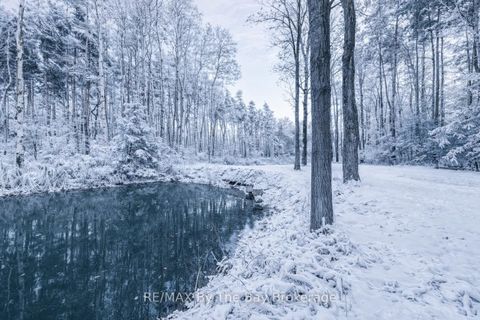 Photo 41 at 7881 Poplar Side Road, Rural Clearview, Clearview