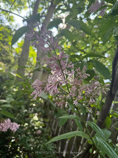 Photo 48 at 106 Dawes Road, Crescent Town, Toronto