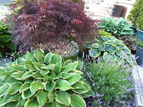 Photo 38 at 746 Gladstone Avenue, Junction, Toronto