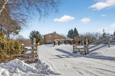 Photo 1 at 6695 10 Side Road, Rural Innisfil, Innisfil