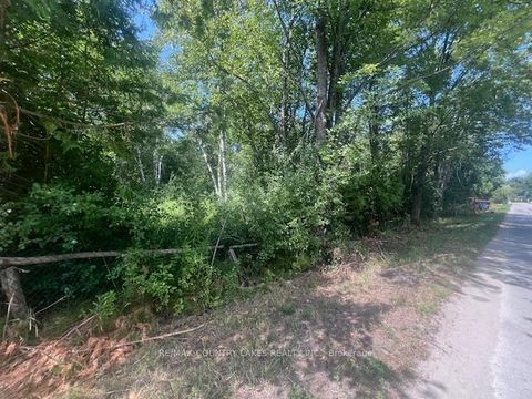 Photo 5 at 122-123 RIVERVIEW BEACH Road, Pefferlaw, Georgina