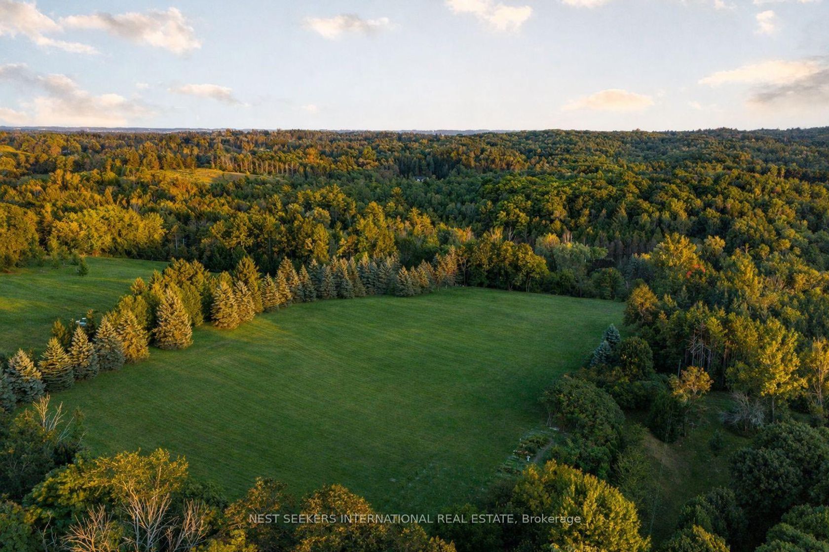 2510 17th Sideroad, Rural King, King 
