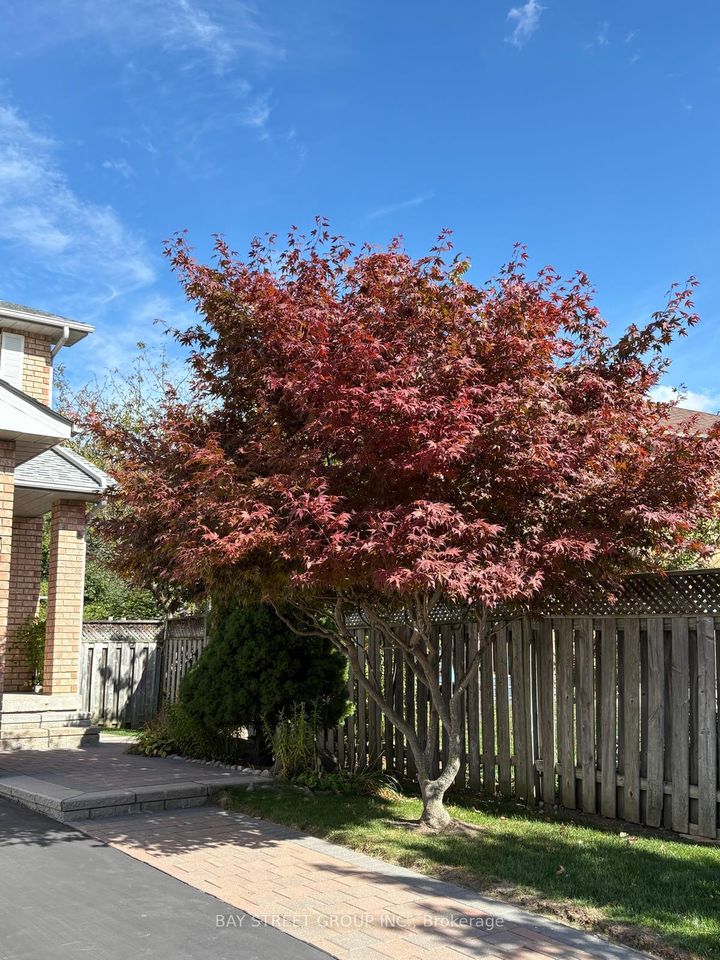 Photo 42 at 80 Summitcrest Drive, Devonsleigh, Richmond Hill