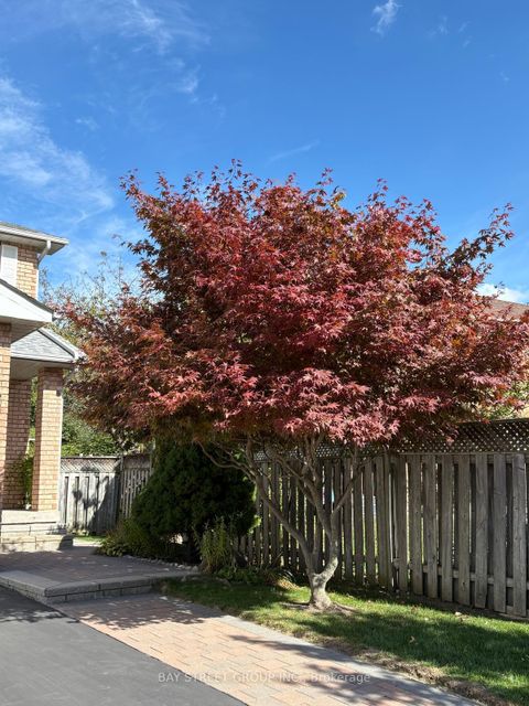 Photo 42 at 80 Summitcrest Drive, Devonsleigh, Richmond Hill