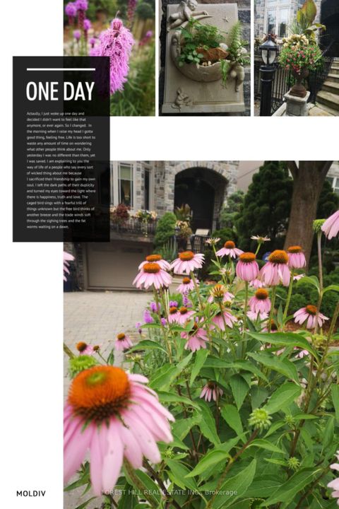 Photo 34 at 59 Burndale Avenue, Westgate, Toronto