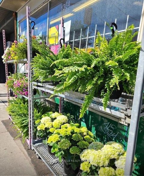 Photo 5 at 1364 Bathurst Street, Wychwood, Toronto