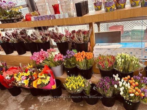 Photo 19 at 1364 Bathurst Street, Wychwood, Toronto