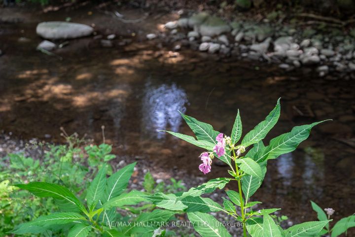 Photo 38 at 6165 19th Avenue, Rural Markham, Markham