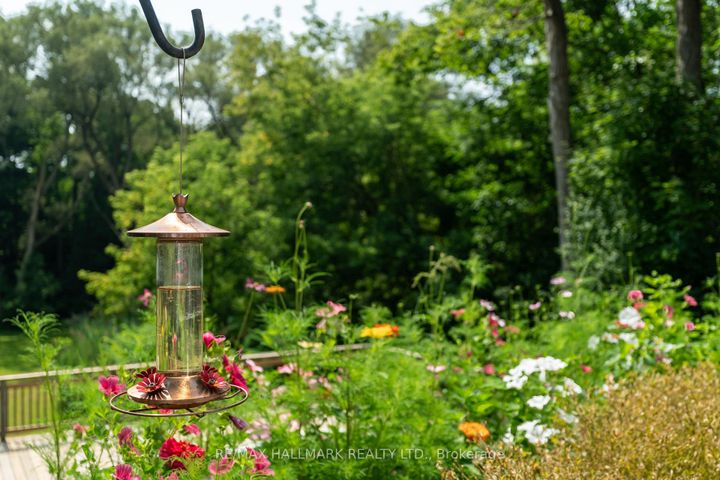 Photo 44 at 6165 19th Avenue, Rural Markham, Markham