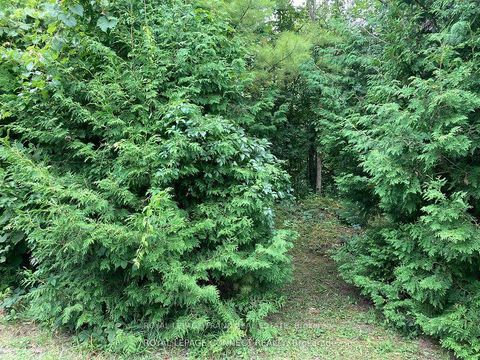 Photo 0 at  Pinecrest Road, Pefferlaw, Georgina