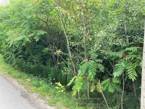 Photo 1 at  Pinecrest Road, Pefferlaw, Georgina