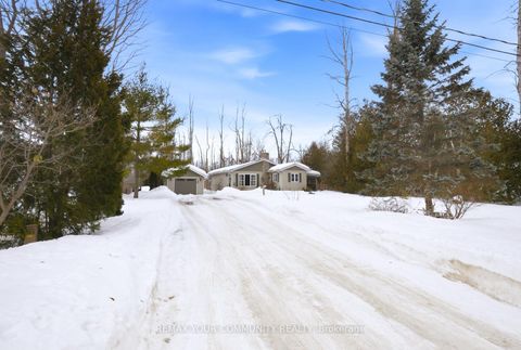 Photo 24 at 3816 30th Side Road, Rural Innisfil, Innisfil