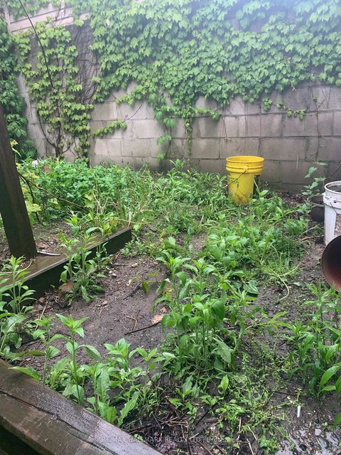 Photo 16 at 295 Old Weston Road, Pellam Park, Toronto