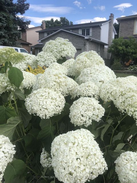 Photo 45 at 911 Ferndale Crescent, College Manor, Newmarket