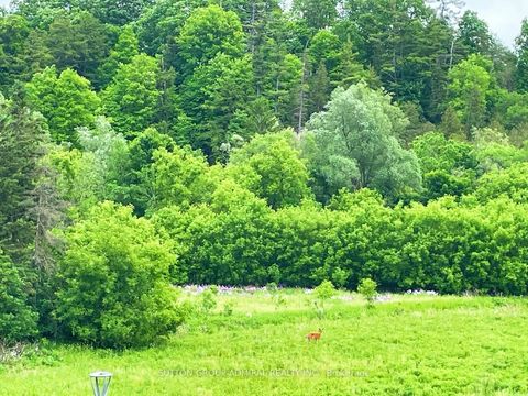 Photo 32 at 3 - 196 Pine Grove Road, Islington Woods, Vaughan