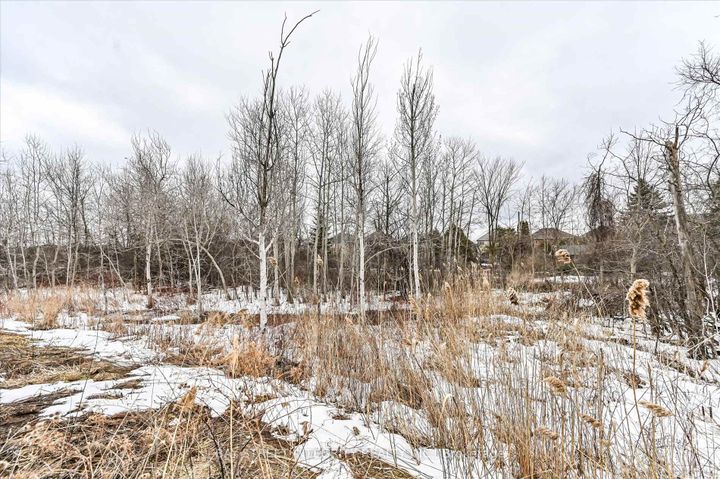 Photo 49 at 45 Portage Avenue, Oak Ridges, Richmond Hill