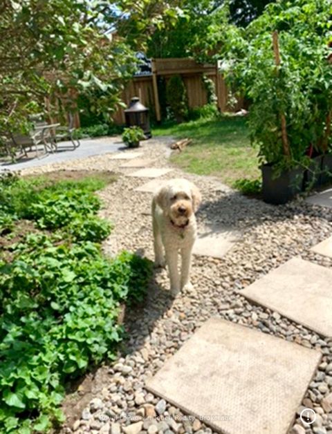 Photo 7 at 153 Ferndale Drive S, Ardagh, Barrie