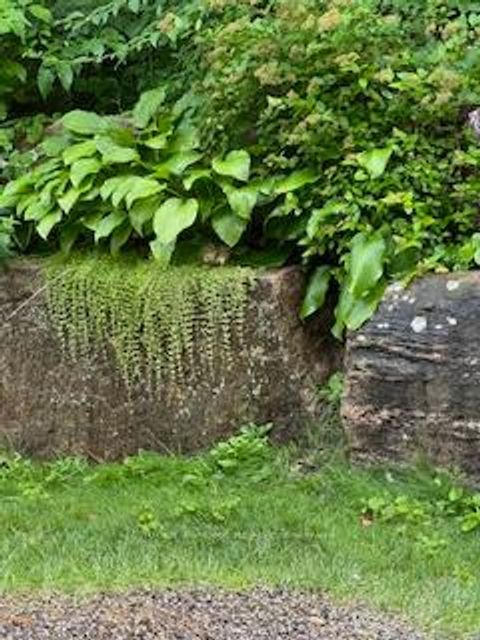 Photo 42 at 23 - 52 Adelade Street, Allandale, Barrie