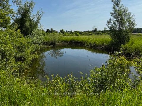 Photo 16 at 27887 Highway 48, Baldwin, Georgina