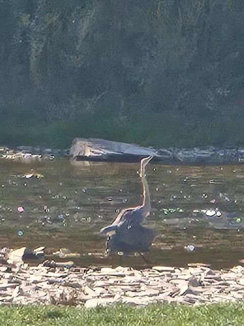 Photo 43 at 101 - 185 Stephen Drive, Queensway, Toronto