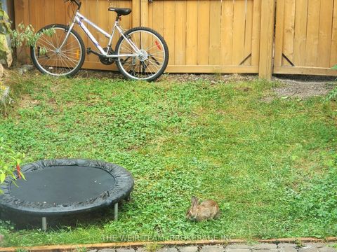 Photo 23 at 793 Woodbine Avenue, Danforth, Toronto