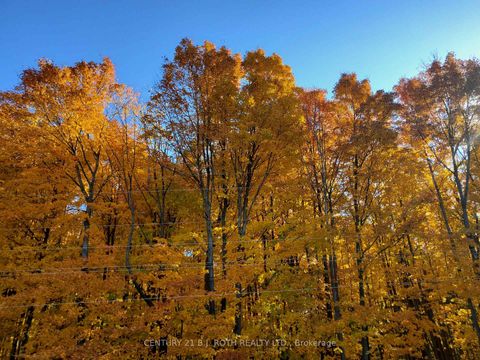 Photo 30 at 29 Corner Brook Trail, Rural Innisfil, Innisfil