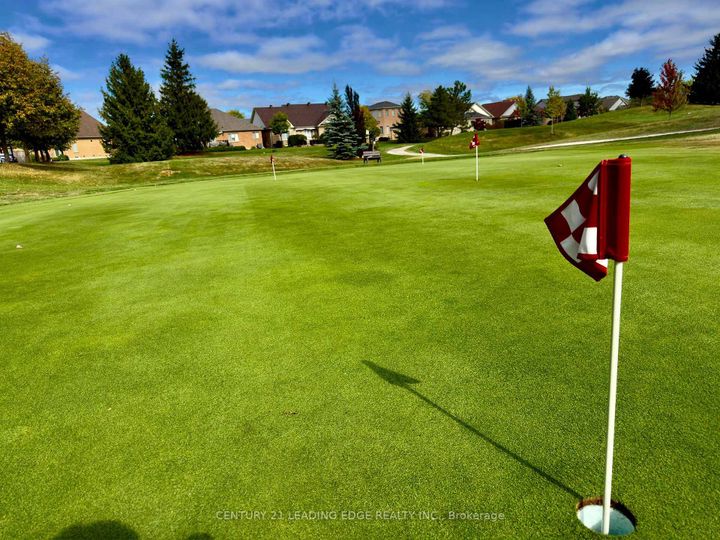 Photo 41 at 35 Lobelia Street, Wellington, Brampton