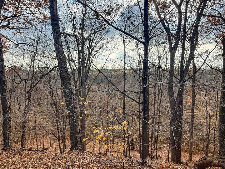 Photo 39 at 3058 Viewmount Road, WO West, Oakville