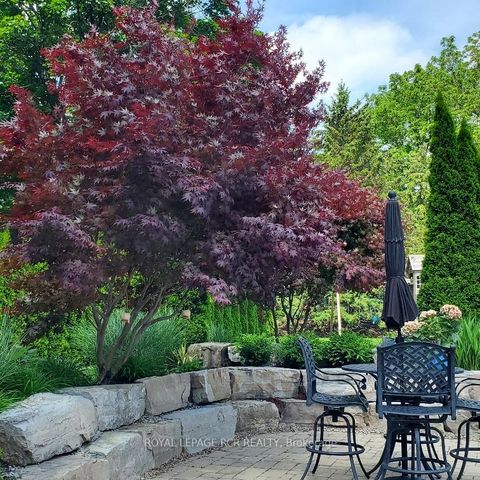 Photo 49 at 87 McClure Drive, King City, King