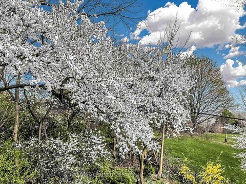 Photo 44 at 49 Castlegrove Boulevard, Donalda, Toronto