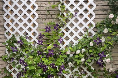 Photo 46 at 101 Ashton Road, Leslie Valley, Newmarket