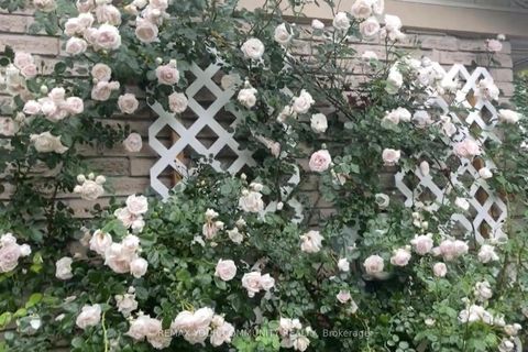 Photo 47 at 101 Ashton Road, Leslie Valley, Newmarket