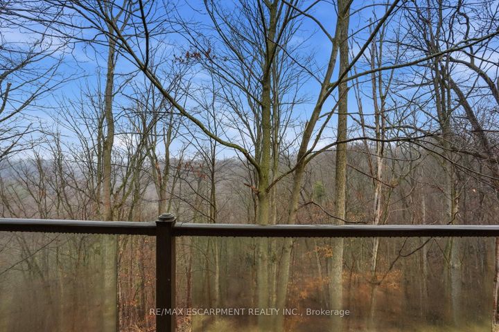 Photo 48 at 1987 Snake Road, Grindstone, Burlington