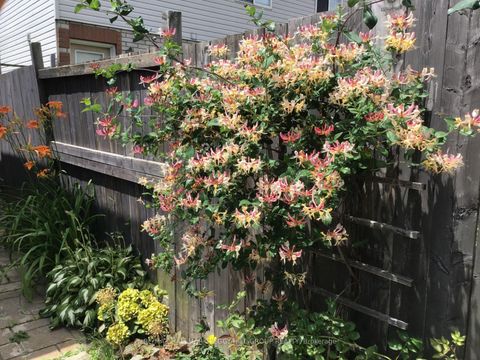 Photo 13 at 72 Stanley Street, East Bayfield, Barrie