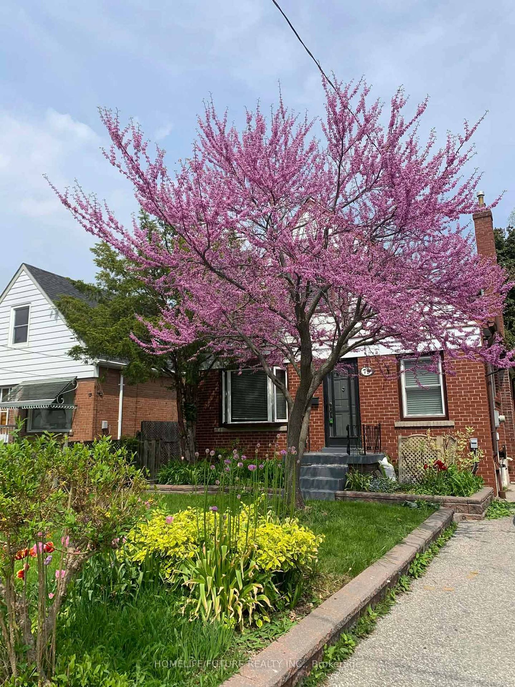 79 Ellington Drive, Maryvale, Toronto by Loree Meneguzzi Real Estate 79 Ellington Drive, Maryvale, Toronto