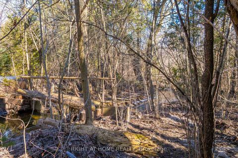 Photo 46 at 661 Wellington Street W, Aurora Highlands, Aurora