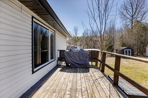 Photo 41 at 26576 Park Road, Sutton & Jackson's Point, Georgina