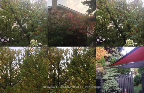 Photo 47 at 1 Dundee Drive, York University Heights, Toronto