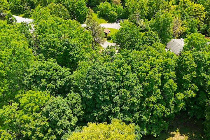 Photo 47 at 4 Ann Street, Georgetown, Halton Hills