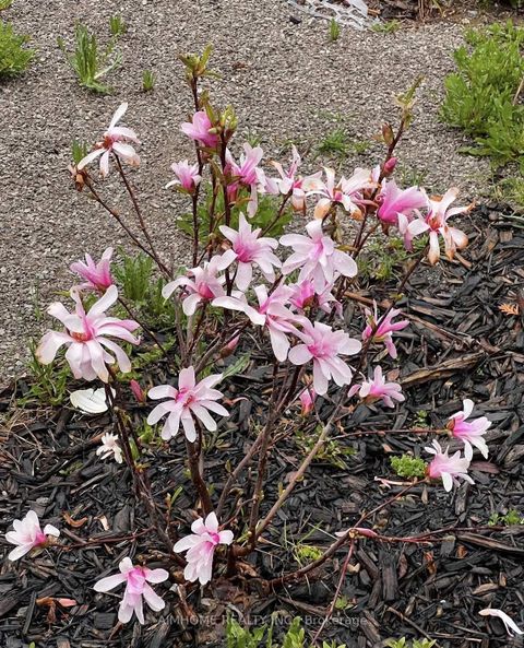 Photo 10 at 73 Sunset Terrace, Vellore Village, Vaughan