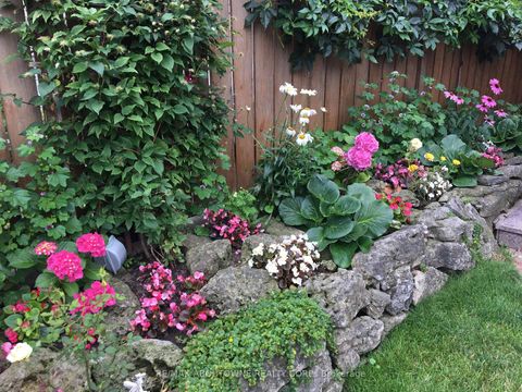 Photo 33 at 17 Duffield Road, Richview, Toronto